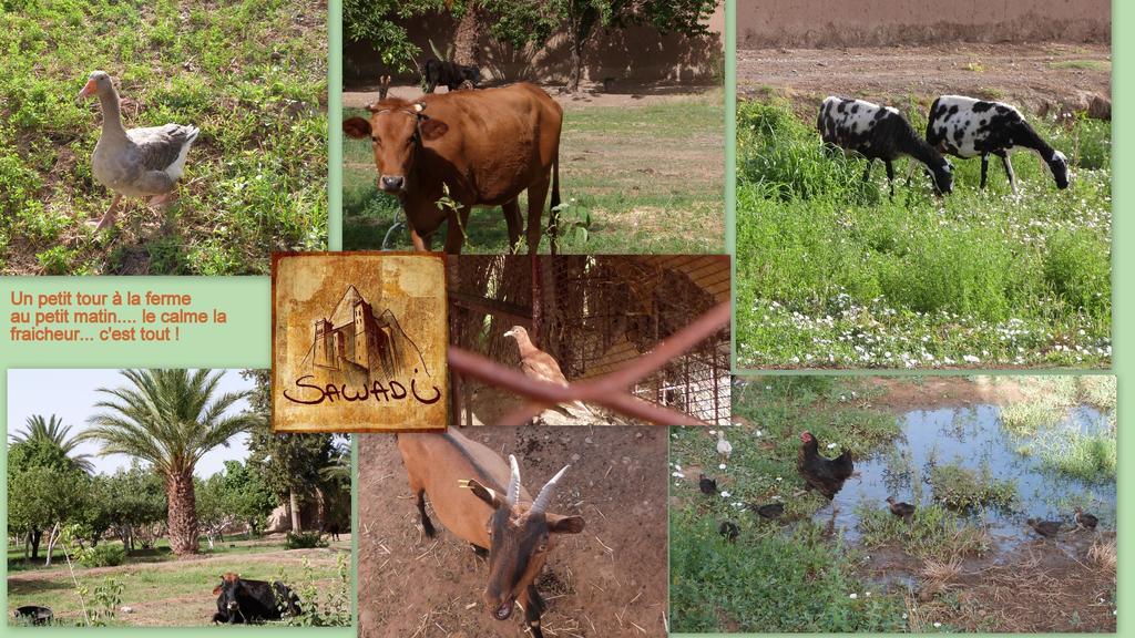 Sawadi Ecolodge Скура Екстериор снимка
